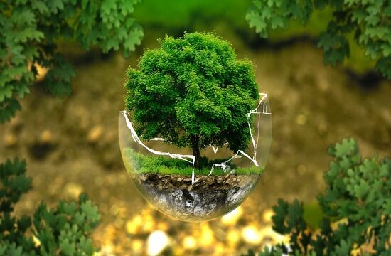 Bando “Impresa sostenibile 2025”: nuove opportunità per investimenti energetici e certificazioni